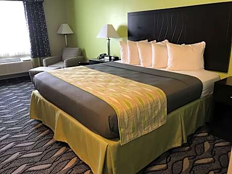 1 King Mobility Access Comm Assist Walk In Shower Lounge Chair Microwave Fridge NSMK Full Breakfast