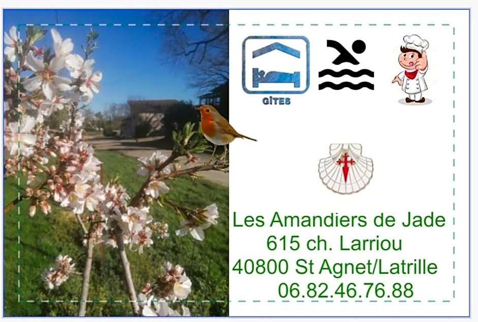 Les Amandiers de Jade