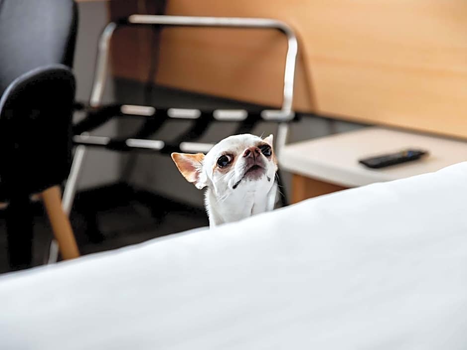 Ibis Poznan Stare Miasto