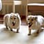 KAMENOI HOTEL SHIOBARA Dog Friendly Hotel