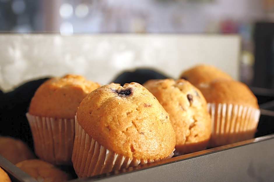 International Hotel Telford