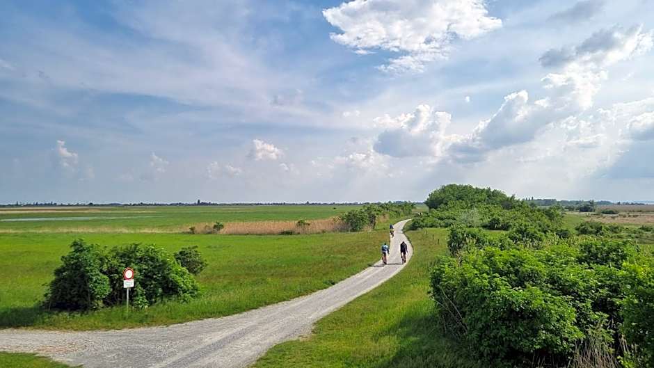 BIRKENHOF GOLS - B & B - Wohlfühl Hotel mit Wochenend-Restaurant