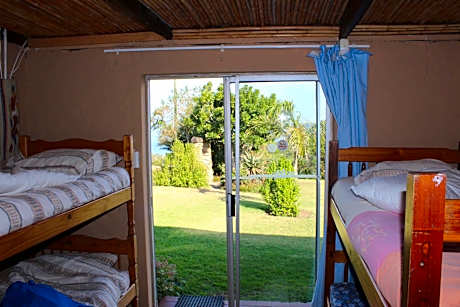 Bunk Bed in Mixed Dormitory Room