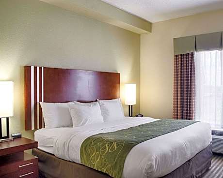 1 King Bed Suite Nonsmoking Accessible
