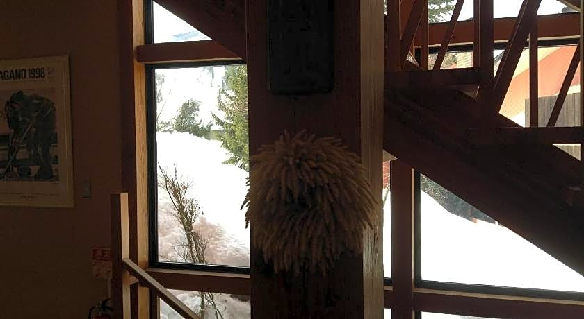 Hakuba Alpine Hotel