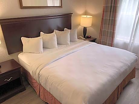 King Room - Non-Smoking