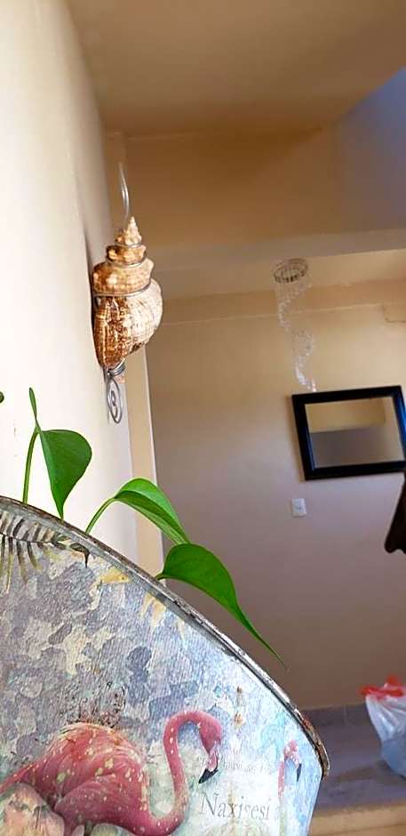 Hotel Casa Baleine