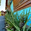 Betik Garden Home
