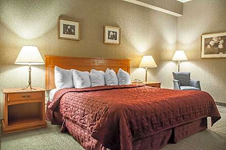 1 King Bed Nonsmoking