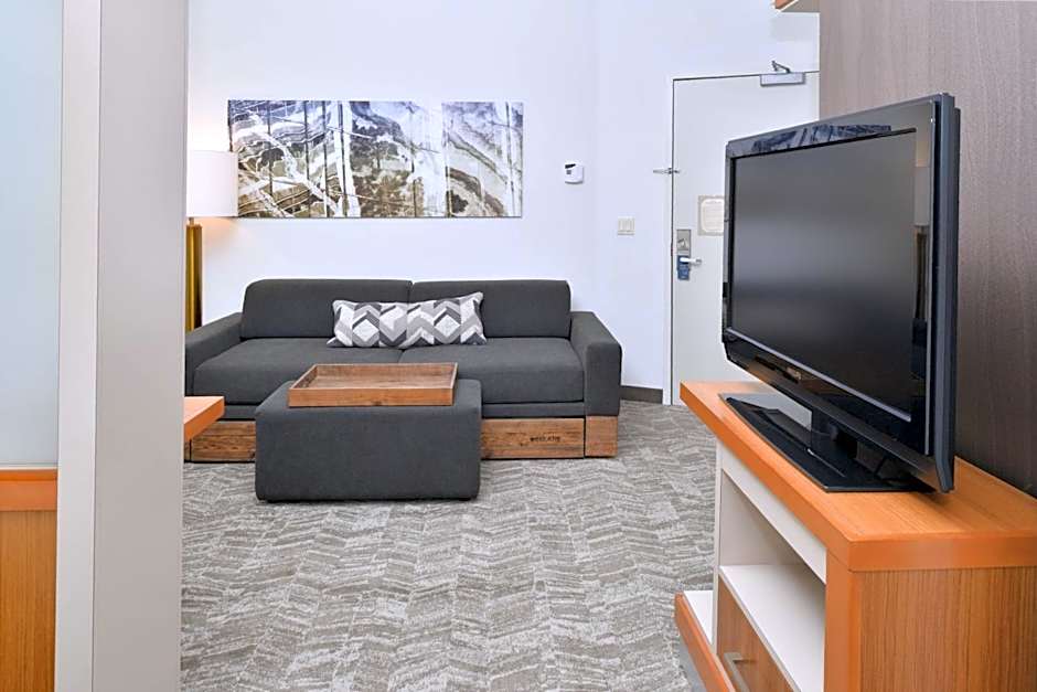 SpringHill Suites by Marriott Ashburn Dulles North