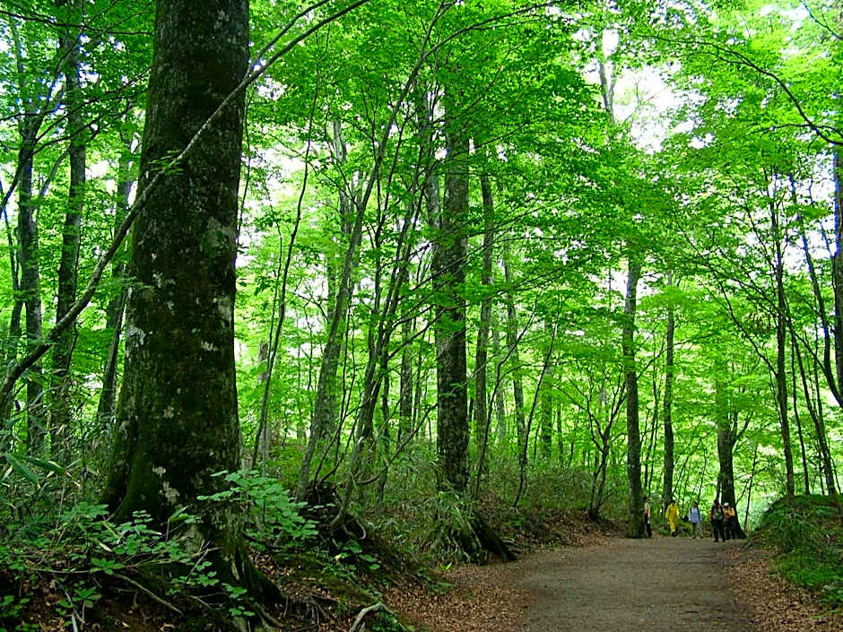 Awone Shirakami Juniko