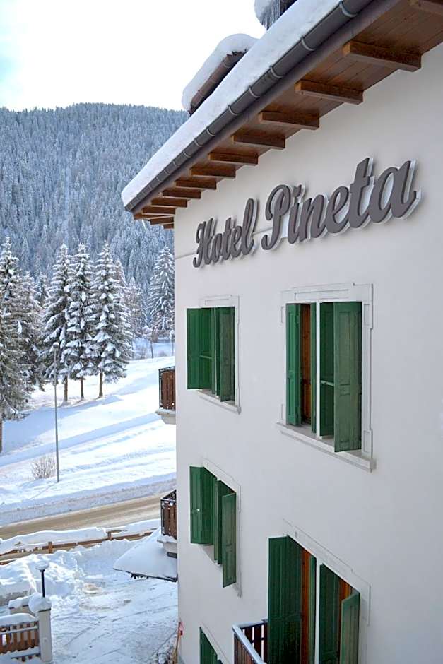 Hotel Pineta