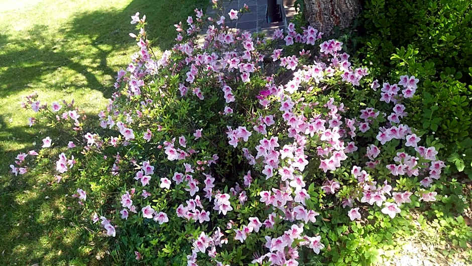 Villa Campo dei Fiori