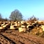 HOLTINGERHUYS Uffelte- Giethoorn! Tegen betaling Wellness!!!