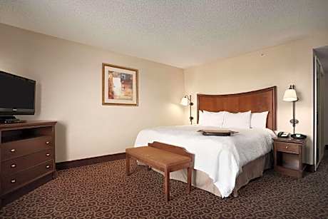 1 King Bed Nonsmoking