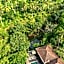 Tattva Ubud Retreat & Wellness