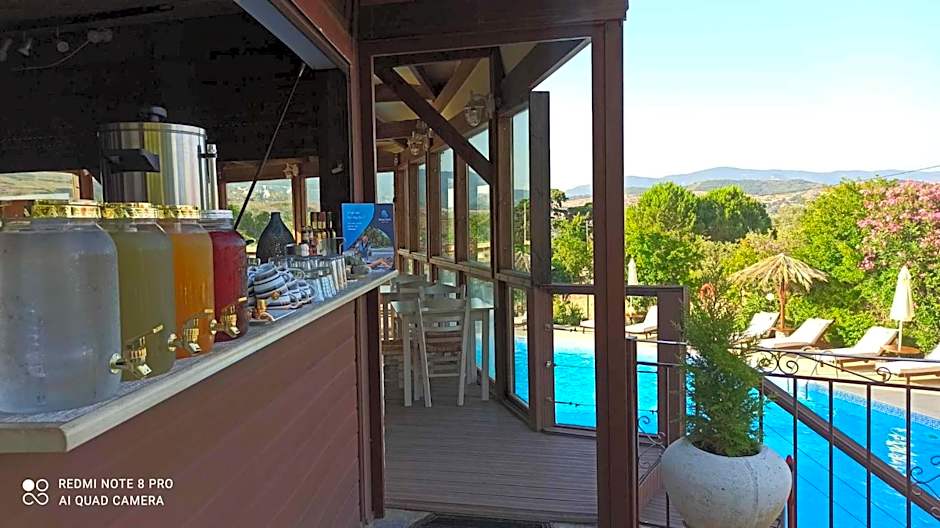 Orfeas Studios Molivos