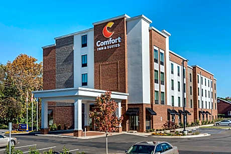 Comfort Inn & Suites Downtown near University