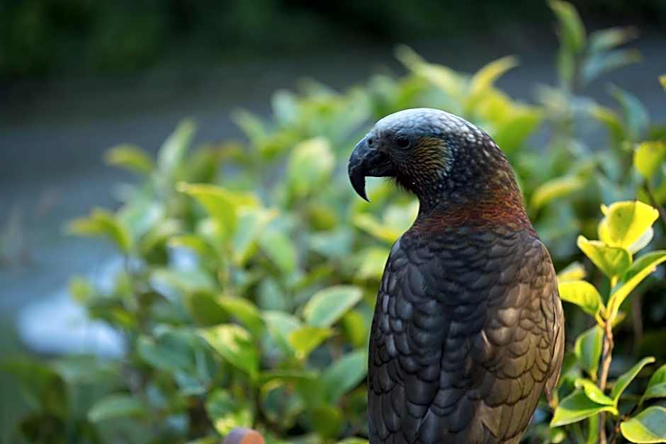 Church Hill Boutique Lodge & Restaurant