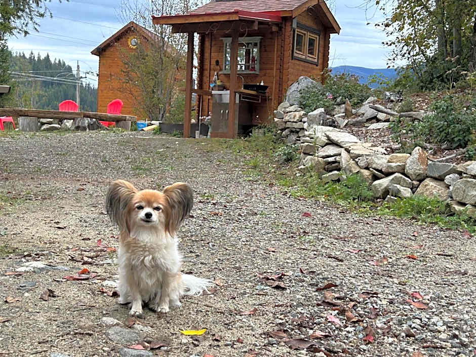 Idyllic Cabin Retreat Only 5 Minutes Away From Nelson