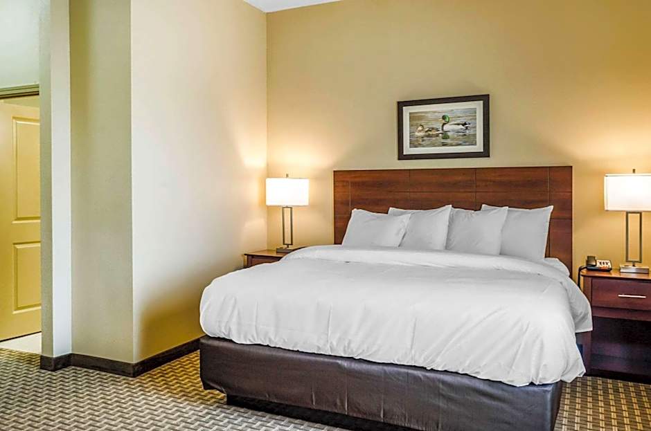 MainStay Suites Hackberry Sportsman's Lodge