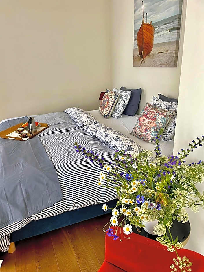 SURF HOUSE DREAMERS COAST