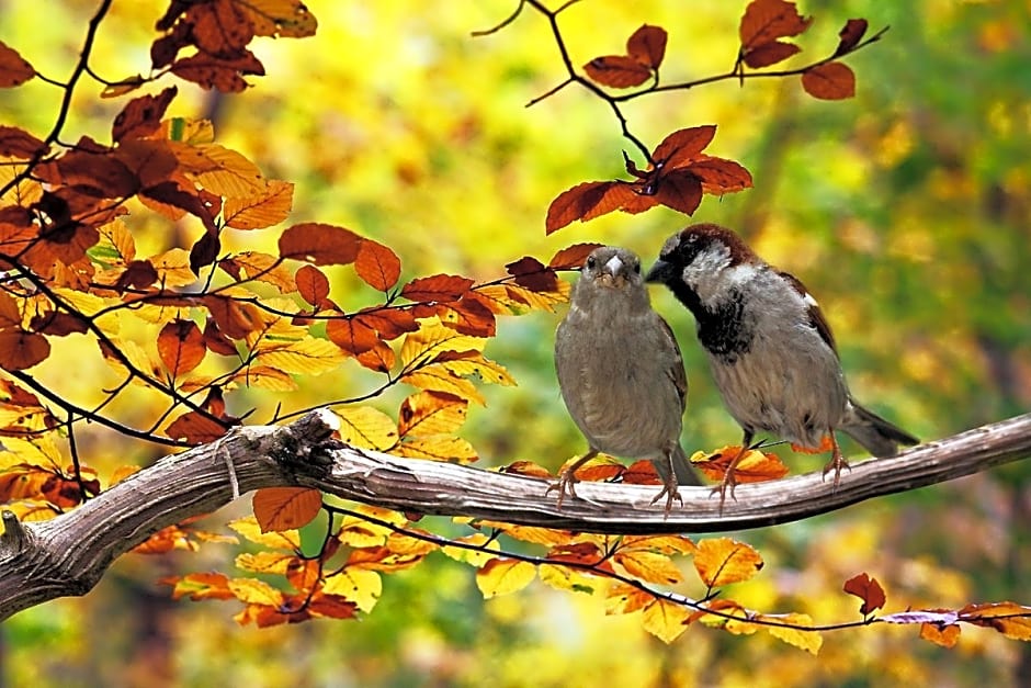 Dai Long Hotel Da Nang