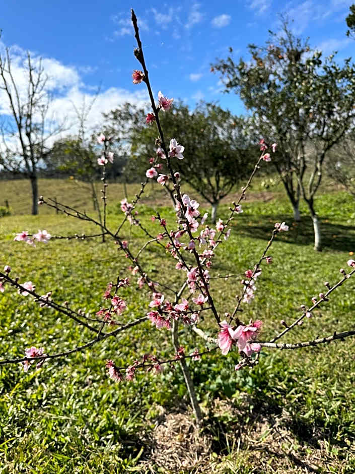 CABANAS BELVEDERE- SERRA DO RIO Do RASTRO