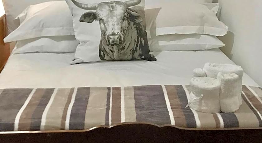 Kromrivier Farm Stays & B&B Near Addo Elephant Park