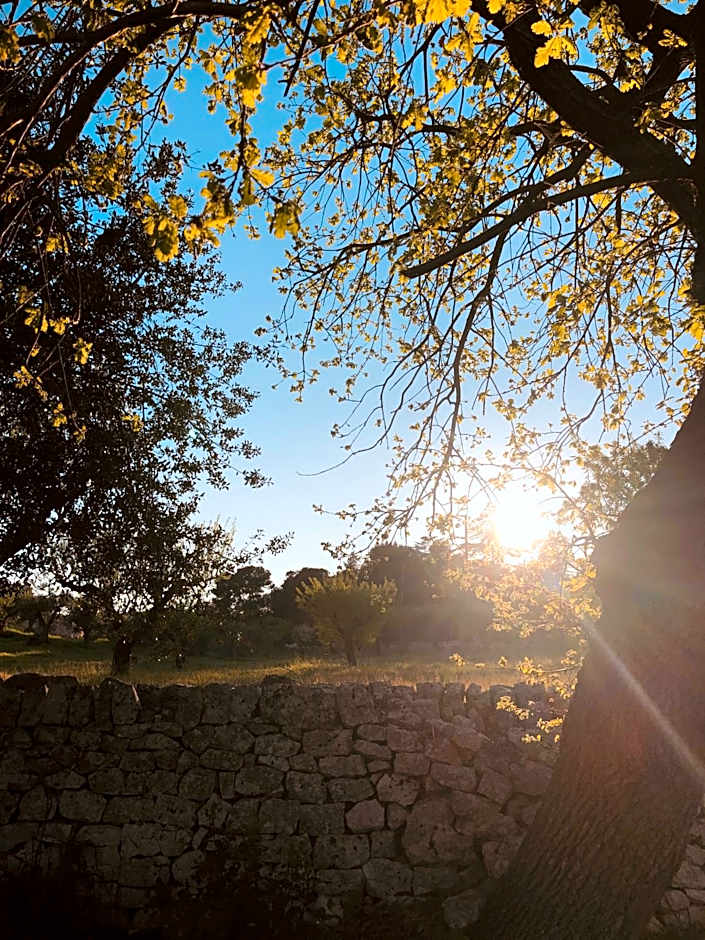Masseria Fenicia