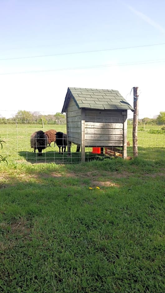 Le moulin de La Retardière