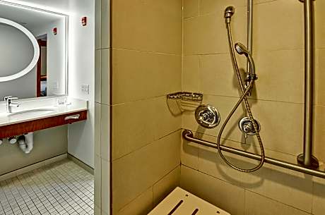 Studio, Multiple Beds (Mobility/Hearing Access, Roll-In Shwr) (2 Queen Beds and 1 Double Sofa Bed)