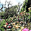 Olde Mill House Bed & Breakfast and Cycle Hire