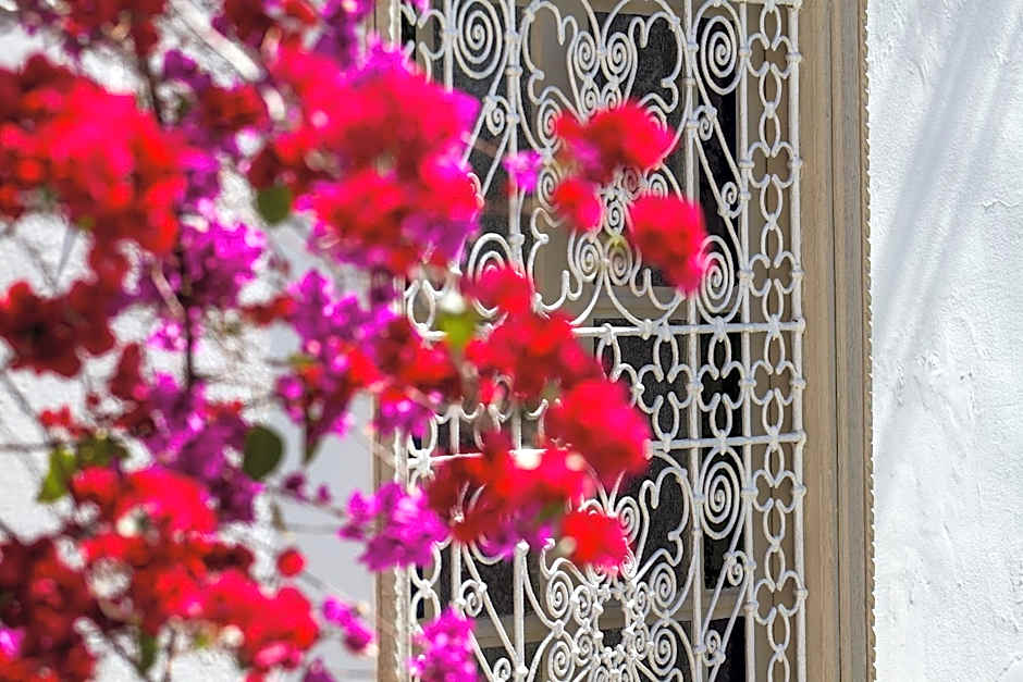 Riad Clémentine