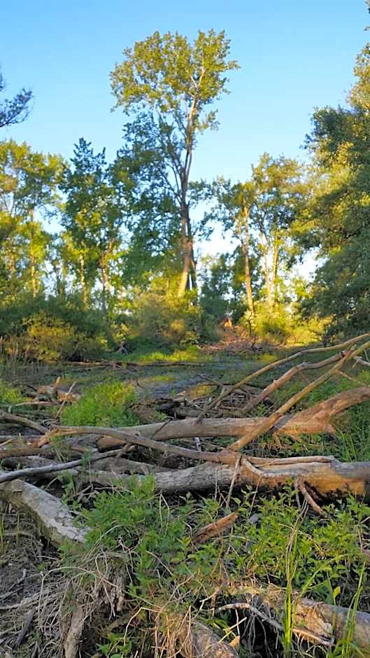 Gezinskamer van Waard van Kekerdom