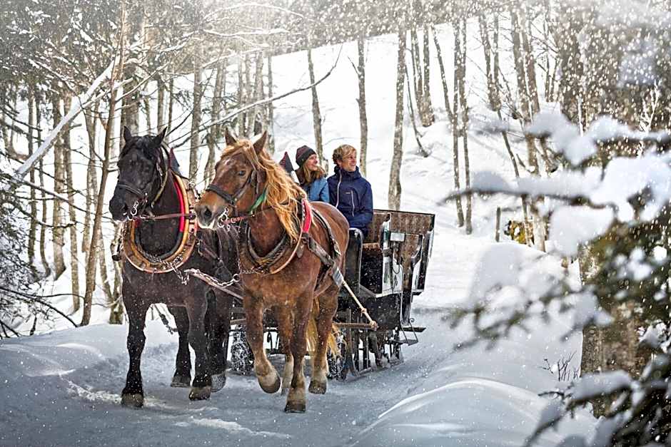 AlpenParks Premium Apartment Rehrenberg II