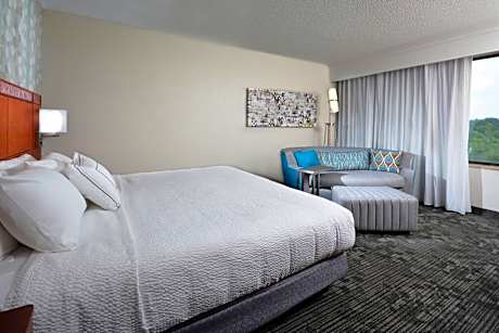 King Room with Sofa Bed and Adapted Tub - Mobility and Hearing Accessible