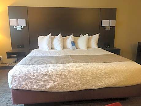 King Room - Non-Smoking - Not Pet Friendly