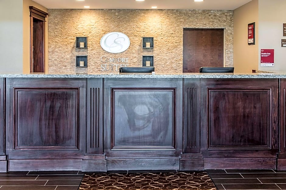 Comfort Suites Rensselaer near Fair Oaks