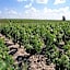 ibis Bordeaux Saint Emilion