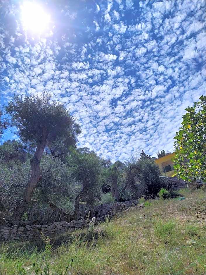 Amfitriti Hotel & Studios