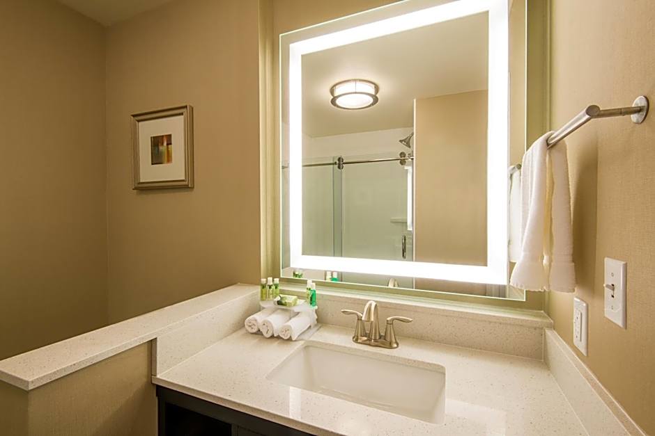 Holiday Inn Express & Suites Denver South - Castle Rock By IHG