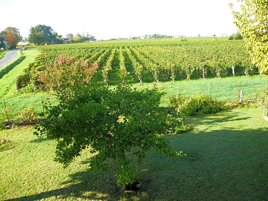 Le Clos Des Rosiers – Saint-Émilion, FL