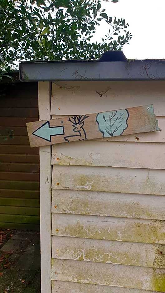 Pipowagen Bed bij Bos