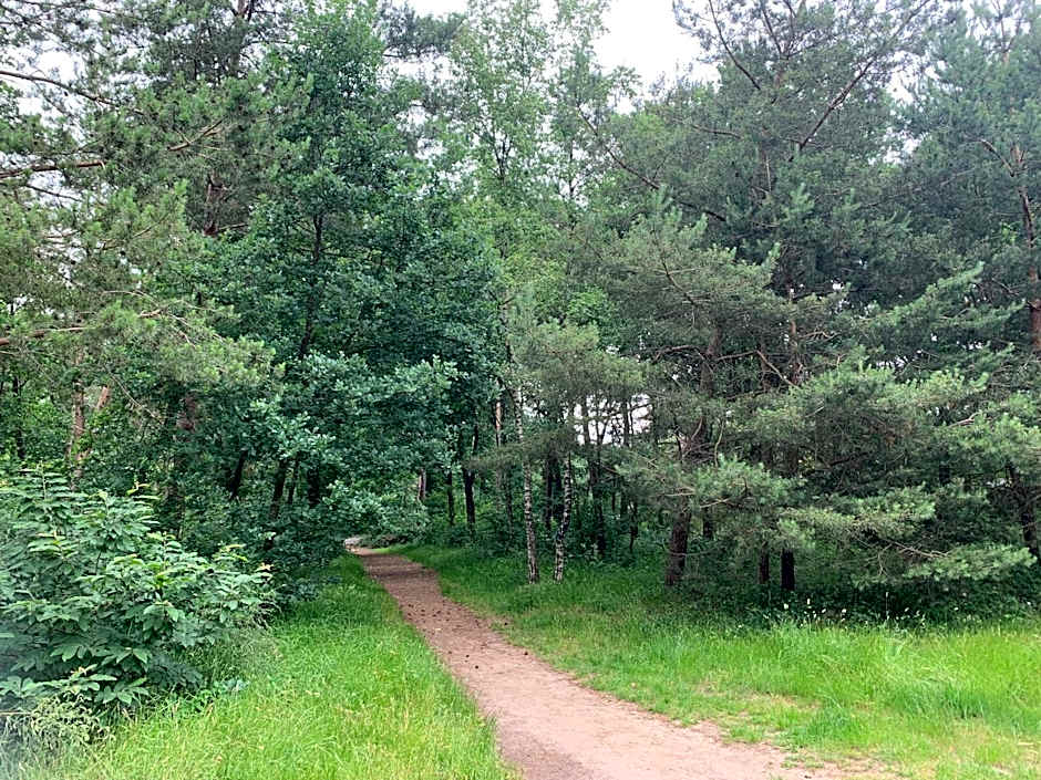 Chalet Moderna Putten