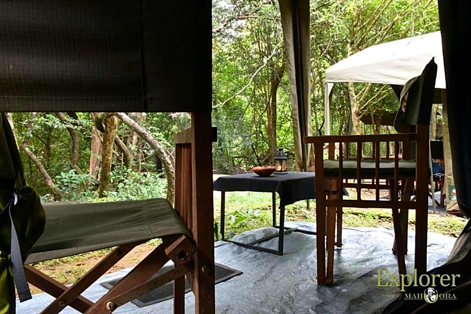 Explorer by Mahoora - Wasgamuwa