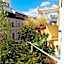 Ariston Petit Hotel