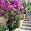Residence Martina
