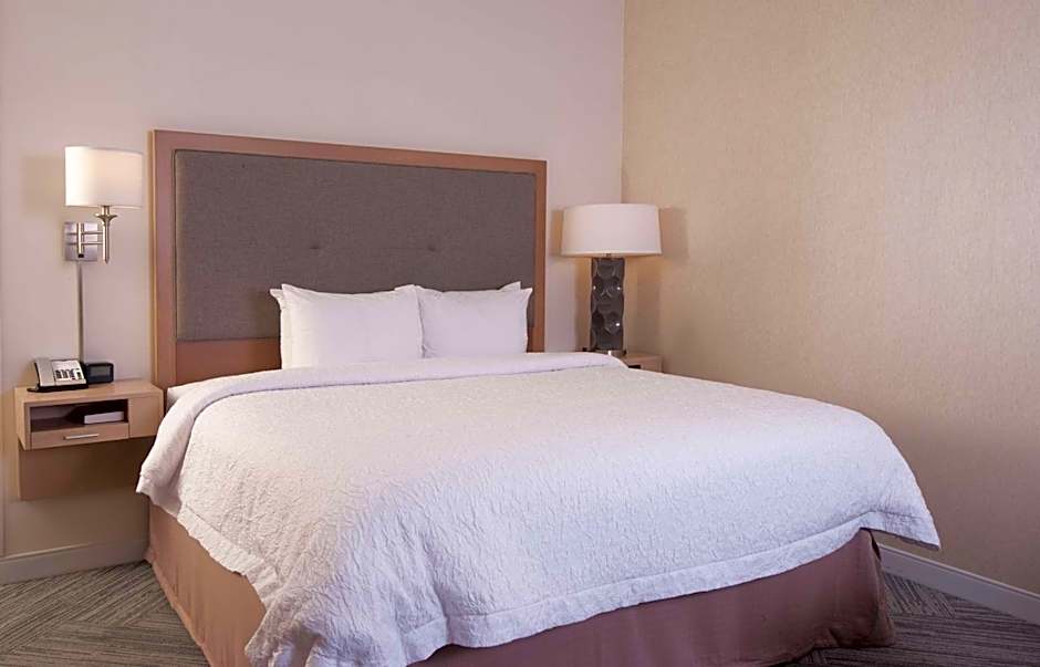 Hampton Inn & Suites by Hilton Augusta-Washington Rd