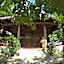 Lazy Lizard Hostel